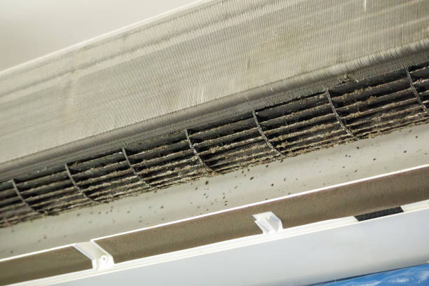 HVAC System Cleaning in Cascade, ID